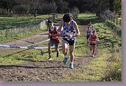 Begles 15.12.13 01 631 * 679 x 453 * (198KB)